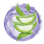 Με Αλόη Βέρα και SymSoft Scalp™